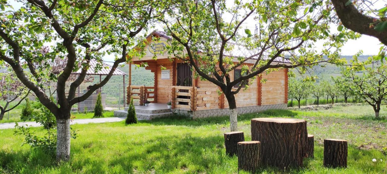 Conacul Mierii Villa Straseni Екстериор снимка