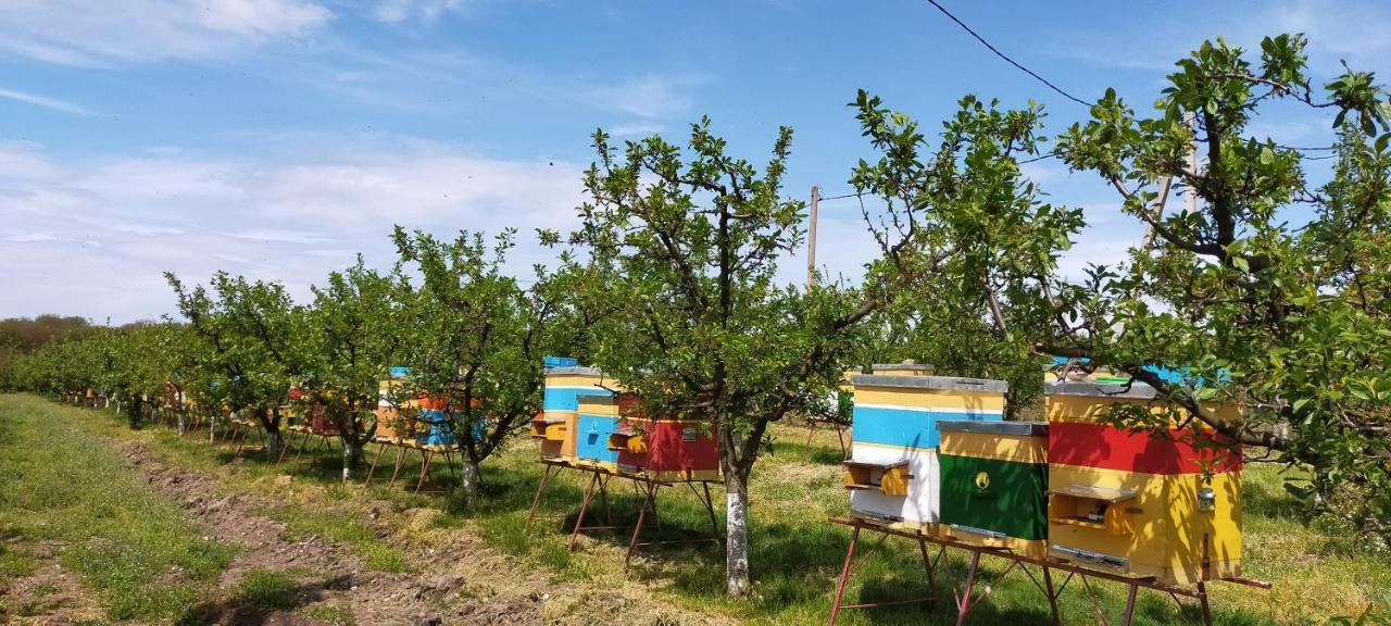 Conacul Mierii Villa Straseni Екстериор снимка